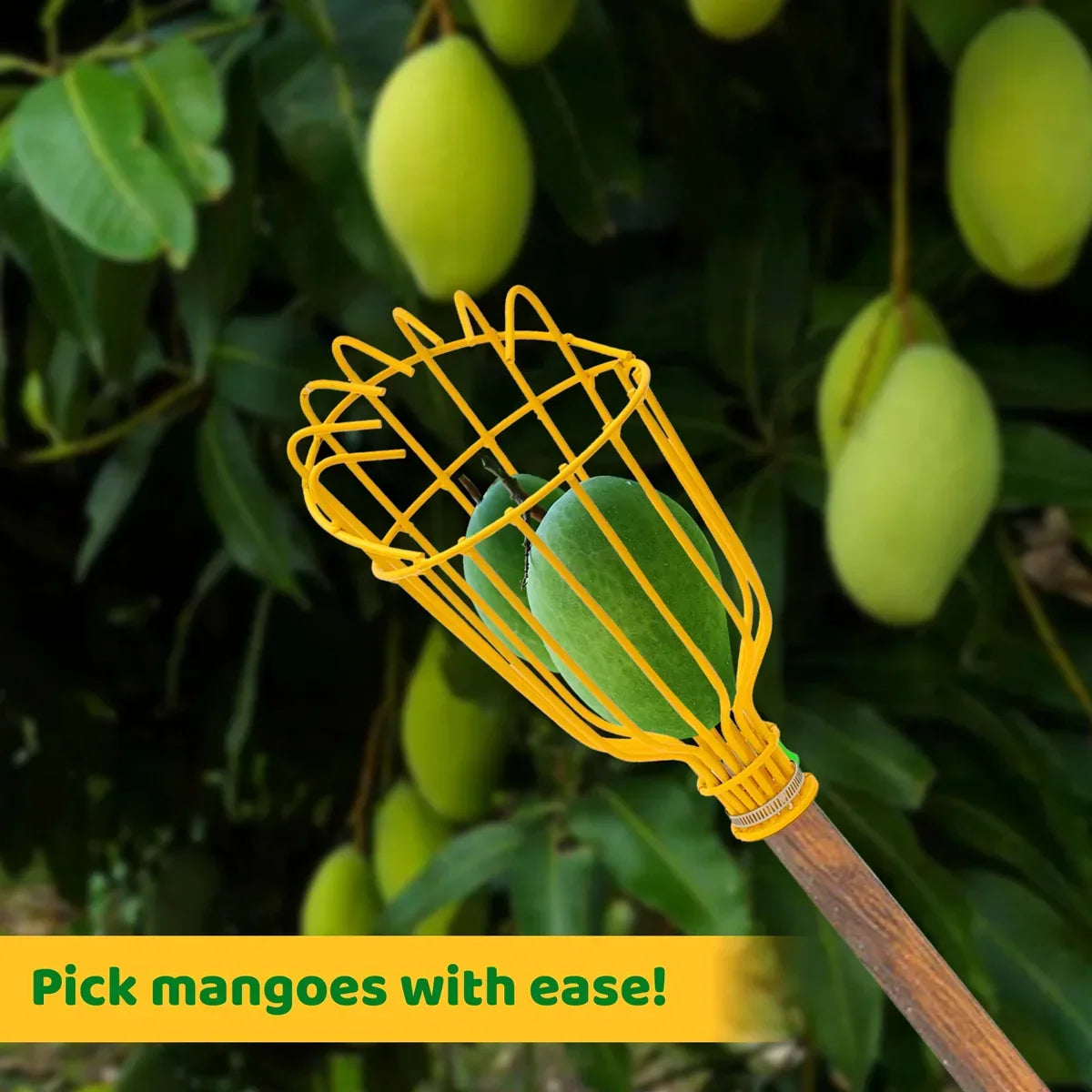 Urban Plant Fruit Picker Plucking Tool