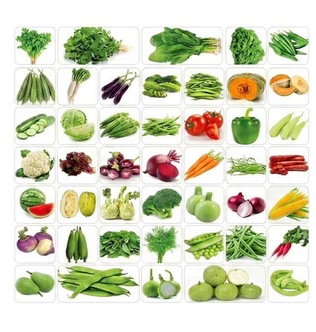 42 Variety Premium Vegetable Seeds Combo Pack