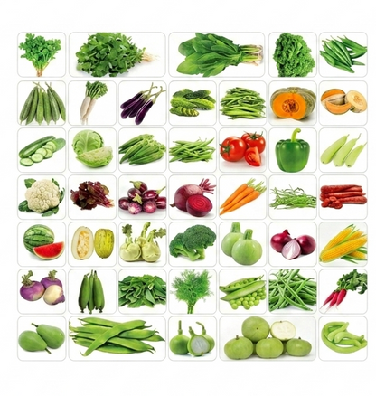 42 Variety Premium Vegetable Seeds Combo Pack